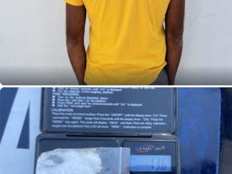 Policía Municipal detiene a sujeto en posesión de enervantes en Vistas de Oriente