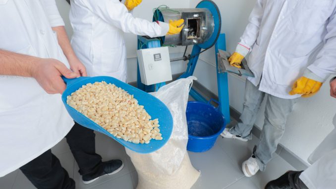 Con laboratorio único en el estado, la UAA impulsa innovación sustentable en el procesamiento del maíz