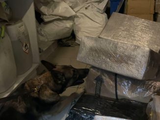 Policías Estatales aseguran en Empresa de paquetería aproximadamente 6 kg de medicamento controlado, fue trasladado a la FGR