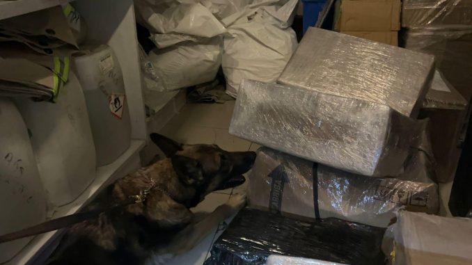 Policías Estatales aseguran en Empresa de paquetería aproximadamente 6 kg de medicamento controlado, fue trasladado a la FGR