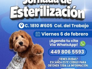Regresan las Jornadas de Esterilización: Alma Hilda