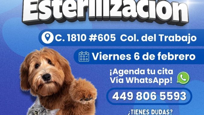Regresan las Jornadas de Esterilización: Alma Hilda