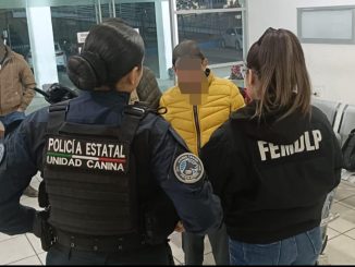 Sexagenario que tenía Boletín de Búsqueda por ser reportado por sus familiares extraviado, fue detectado por Policías Estatales en la Central Camionera