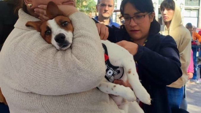 Jornada de cuidado y amor por los animales en la GigaVíaAgs