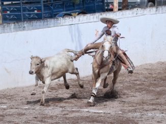 Arranca la actividad de charrería previo a los eventos nacionales