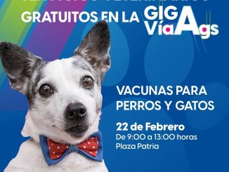 🐾💚 Cuida a quienes más te quieren en la #GigaVíaAgs