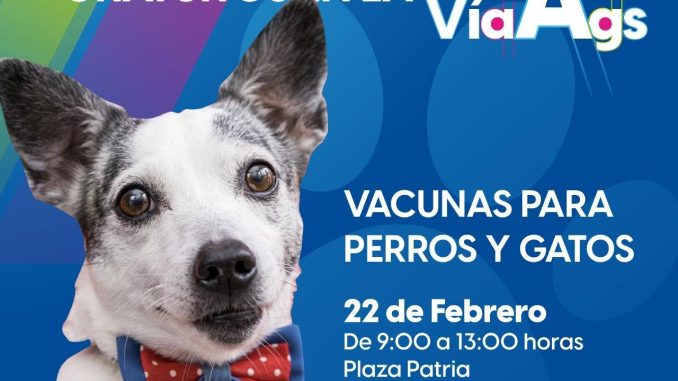 🐾💚 Cuida a quienes más te quieren en la #GigaVíaAgs