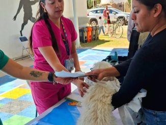🐕🐾 Se realizó la Caravana de la Salud Canina y Felina
