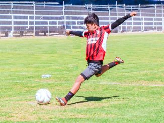 ¡Mucho éxito, campeones, son El Gigante de México!