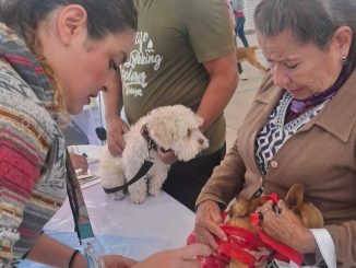 🐶🐱💚 ¡Gracias, San Francisco de los Romo!