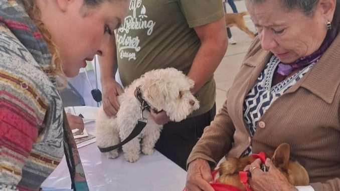 🐶🐱💚 ¡Gracias, San Francisco de los Romo!