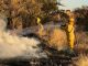 Emite Protección Civil recomendaciones ante temporada de incendios de pasto seco y forestales