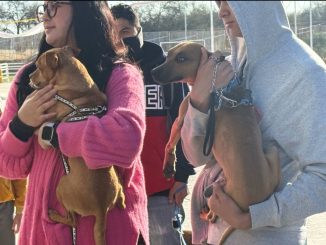 Llevará Municipio de Aguascalientes el Quirófano veterinario móvil a Cañada Honda y a la Línea Verde