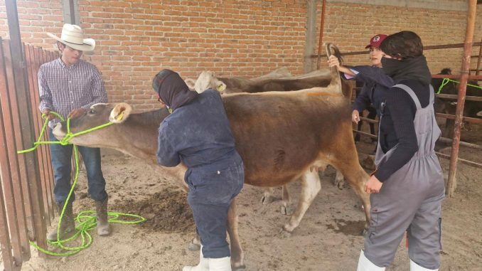 Arranca Municipio de Aguascalientes trabajos de la Clínica Veterinaria Ambulatoria 2026