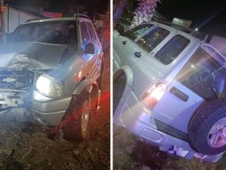 Policía Vial atiende choque contra palmera en Av. Aguascalientes