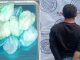 Presunto distribuidor de sustancias al parecer ilícitas fue detenido en poder de 9 envoltorios en la comunidad de Peñuelas