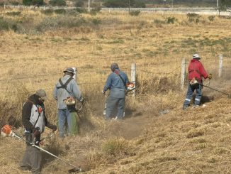 Refuerzan limpieza y desmalezado en camellones y ciclovías de Av. Siglo XXI poniente