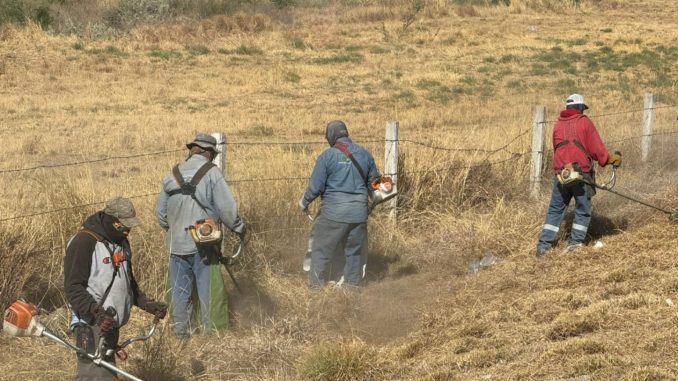 Refuerzan limpieza y desmalezado en camellones y ciclovías de Av. Siglo XXI poniente