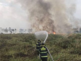 Incendio en Xochimilco arrasa con casi 8 hectáreas de vegetación