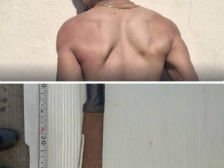 Policía Municipal detiene a sujeto con machete en el fraccionamiento Natura