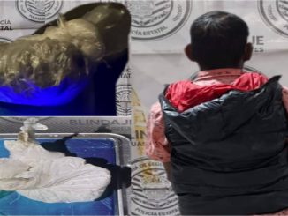 Policías Estatales de Aguascalientes detienen a sujeto en poder de hierba verde y sustancia granulada
