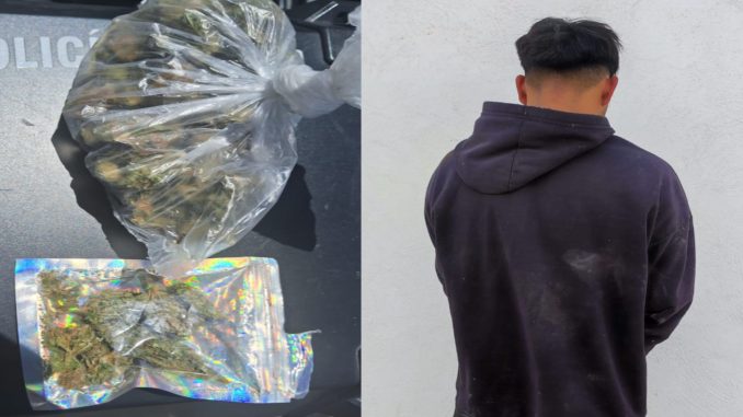 Con cerca de 100 grs de hierba verde es detenido sujeto por Policías Estatales