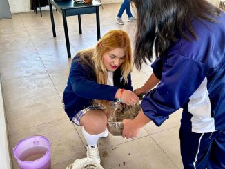 Por tercer año consecutivo se acerca la cultura del agua a niñas, niños y jóvenes a través del MIAA Fest