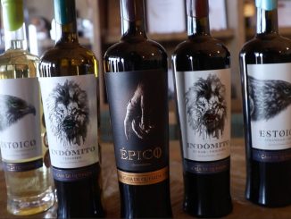 Vinos de Aguascalientes ganan 8 Medallas en Certamen Internacional en Japón