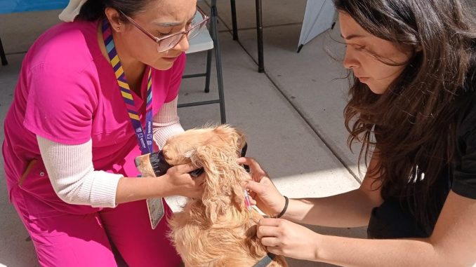 Todo un éxito la Caravana de Salud Canina y Felina en San José de Gracia