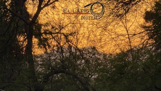 Buen Día...!!