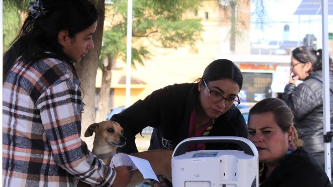 Acercan servicios veterinarios gratuitos a todo el Estado a través de las Caravanas de Salud canina y felina