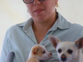 Con gran éxito se realizó en Jesús María la Caravana de Salud Canina y Felina