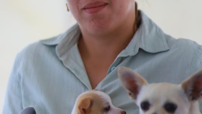 Con gran éxito se realizó en Jesús María la Caravana de Salud Canina y Felina
