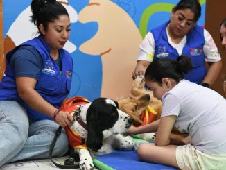 Señora Jingles, la perrita que ayuda a cambiar vidas en el DIF Estatal