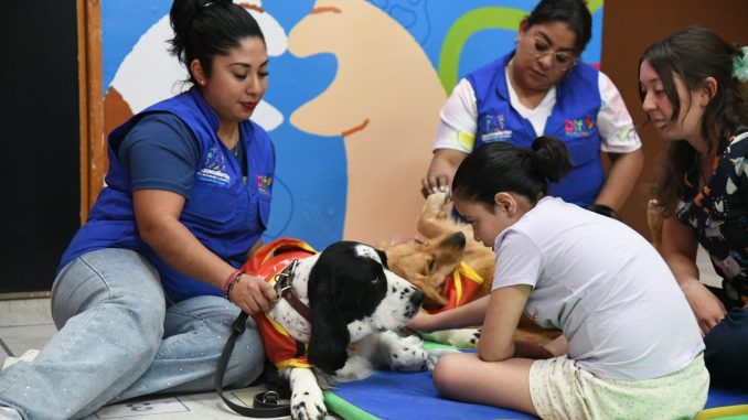 Señora Jingles, la perrita que ayuda a cambiar vidas en el DIF Estatal