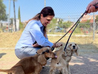 Cuidar a los animales también es cuidar a nuestra comunidad: Alma Hilda