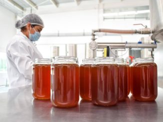 Miel de la Cruz: trabajo con propósito que traspasa fronteras