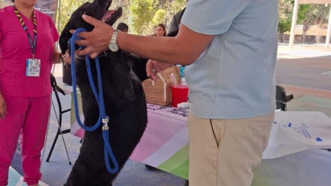🐾💚 Hoy, vivimos una jornada muy especial en Calvillo