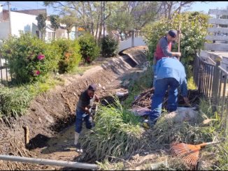 Refuerza Leo Montañez limpieza preventiva en el canal de la colonia La Estrella