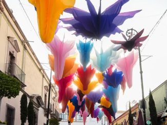 Millones de personas admirarán un colorido Jardín Botánico en el Corredor Cultural Carranza 2026