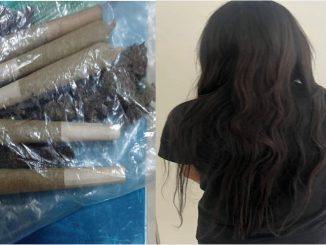 Policías Estatales aseguran en la Puerta de Seguridad a persona del sexo masculino con hierba verde al parecer marihuana