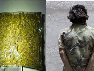 Presunto distribuidor de sustancias al parecer ilícitas fue detenido por Policías Estatales en el fraccionamiento Luis Ortega Douglas