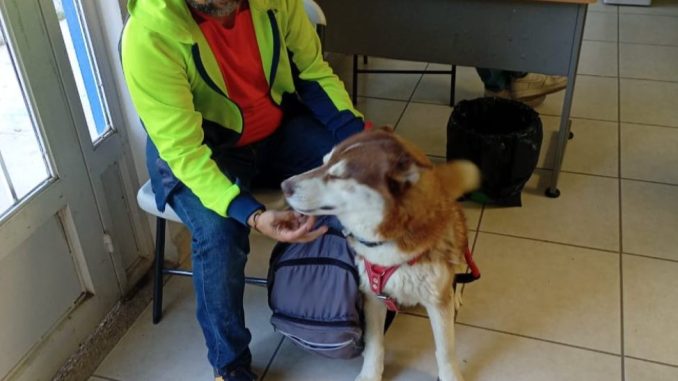 La Coordinación General de Salud e ISSEA llevarán Jornada de esterilización al CEDECO Ojocaliente y Villa Loma Dorada