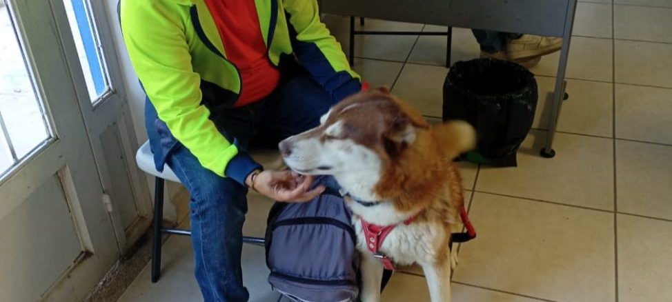 La Coordinación General de Salud e ISSEA llevarán Jornada de esterilización al CEDECO Ojocaliente y Villa Loma Dorada