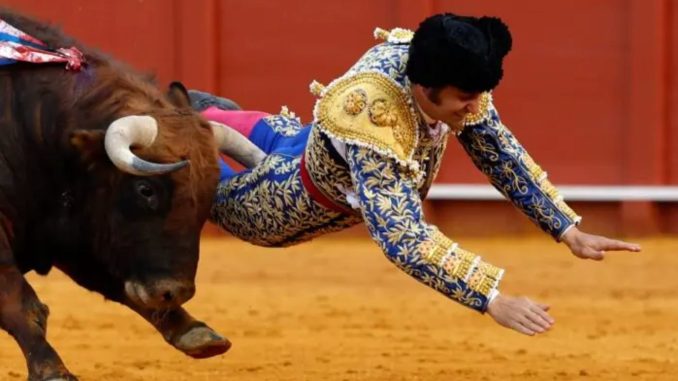 Torero Morante de la Puebla sufre cornada en el recto
