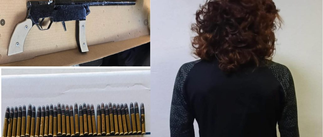 Mujer que portaba arma larga hechiza fue detenida por Policías Estatales en la colonia Pirules