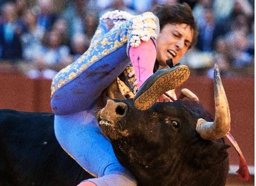 Video: Roca Rey sufre cornada en La Maestranza de Sevilla