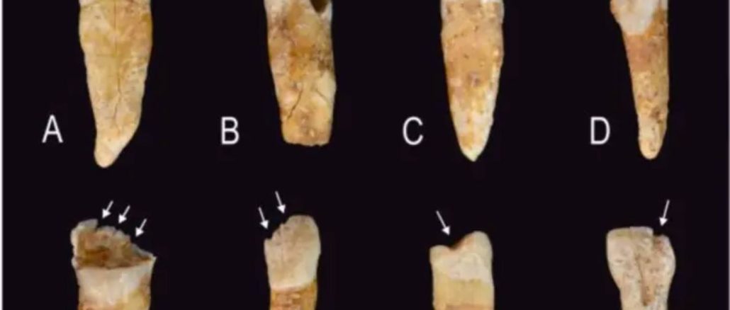 Marcas en los dientes revelan cómo se construían las identidades de género en la Prehistoria, según un estudio