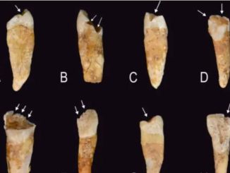 Marcas en los dientes revelan cómo se construían las identidades de género en la Prehistoria, según un estudio