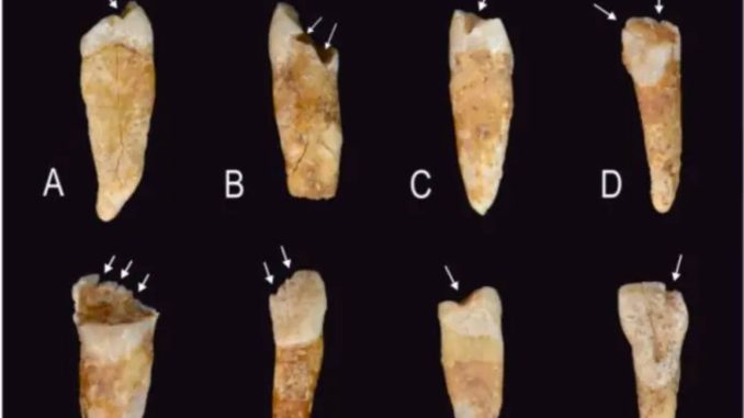 Marcas en los dientes revelan cómo se construían las identidades de género en la Prehistoria, según un estudio